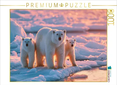Produktbild von CALVENDO Puzzle Ein Motiv aus dem Kalender Magie der Wildnis | 1000 Teile Lege-Größe 64x48cm Foto-Puzzle für glückliche Stunden