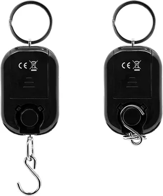 Immagine prodotto di Bilancia digitale Delphin Minio 25 kg