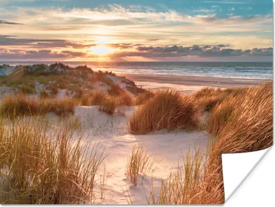 Produktbild von MuchoWow® Poster Düne - Pflanzen - Sonnenuntergang - Strand - Meer 120x90 cm - Wandbild