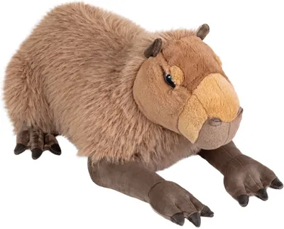 Produktbild von Wild Republic - Kuscheltier - Cuddlekins Eco Jumbo - Capybara