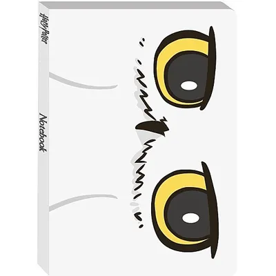 Image de a5 notebook flexi harry potter hedwig