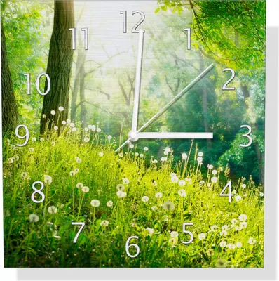 Produktbild von Wallario Design Wanduhr Pusteblumen im Wald mit einfallenden Sonnenstrahlen aus Aluverbund, Größe 30 x 30 cm