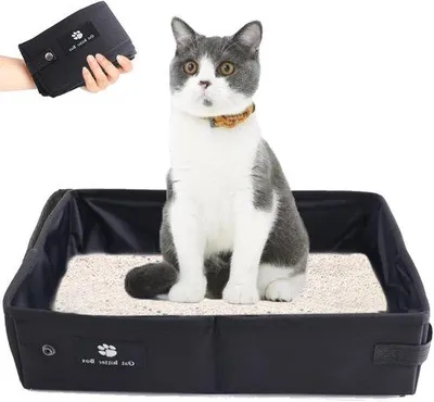 Image de Cage de transport pour chat, imperméable, 45 x 35 cm, facile à nettoyer, pratique