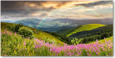Produktbild von Tulup® Glas-Bild - 100x50 -Wandkunst - Wandbild hinter gehärtetem Sicherheitsglas  - Landschaften - Berglandschaft - Grün