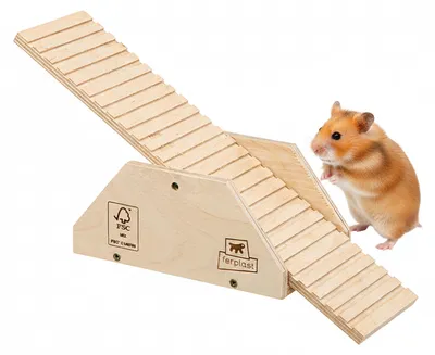 Image de Hamac en bois Ferplast pour hamsters, souris, jouet en bois pour l'exercice physique des hamsters