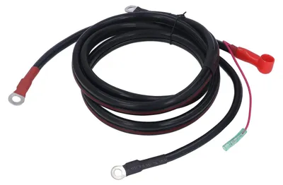 Image de Câble de batterie noir de 2 m en cuivre pur – Câble de batterie de rechange pour moteur hors-bord Parsun Powertec 15 à 85 ch