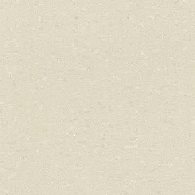 Produktbild von Vliestapete 560060 Tapete Uni Einfarbig 53 x 1005 cm Rasch Barbara Home Collection III Beige