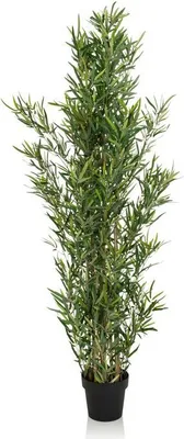 Obrázok produktu pre hjh OFFICE Umelá rastlina BAMBOO Umelá rastlina bambus Výška 165,0 cm Dekorácie