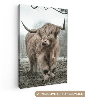 Obrázok produktu pre MuchoWow® - Plátno - Škótsky horal - Príroda - Jeseň - Zvieratá - Divoká príroda - Les, fototapeta, nástenné dekorácie obrazy obývacia izba, 60x90cm
