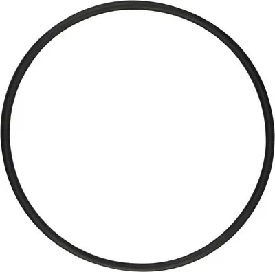 Produktbild von Dichtungsring zwischen Filterkessel und 6-Wege Ventil für alle Intex Sandfilteranlagen