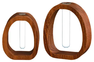 Produktbild von Reagenzglasvase aus transparentem Glas und Holz, modern, für Zuhause und Büro