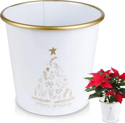 Produktbild von Weißer Weihnachtstopf mit goldener Tanne für Pflanzen