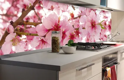 Produktbild von Küchenrückwand Folie selbstklebend APFELBLÜTE 180 x 60 cm - Klebefolie - Dekofolie - Spritzschutz für Küche -