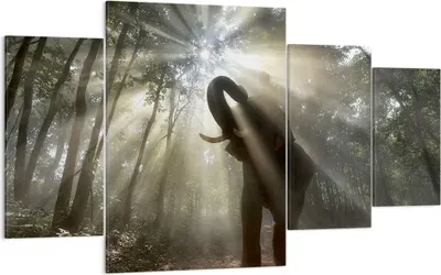 Produktbild von Bild auf Leinwand - Leinwandbild - Elefant Dschungel  - 160x90cm - Wand Bild - Wanddeko - Leinwanddruck - Bilder - Kunstdruck - Wanddekoration - Leinwand bilder - Wandkunst - DL160x90-3835