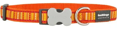 Image de Collier pour chien Red Dingo Lotzadotz Orange, 41 - 63 cm