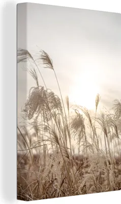 Produktbild von MuchoWow® - Leinwandbilder - Schilf - Stilleben - Himmel, Wandbild, Wanddeko Bilder Wohnzimmer, 80x120 cm