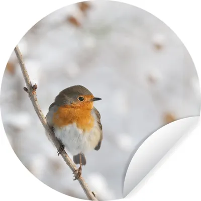 Produktbild von MuchoWow® Runde Wandtattoo - Wandsticker Tapete Aufkleber Vogel - Rotkehlchen - Winter Ø 50 cm Selbstklebend und Repositionierbar - Wandaufkleber - Kreis - Wand Kreis - Wand Bild - Foto Tapete - Selbstklebende - Wohnzimmerdekoration - Wand Dekoration - Kinderzimmer