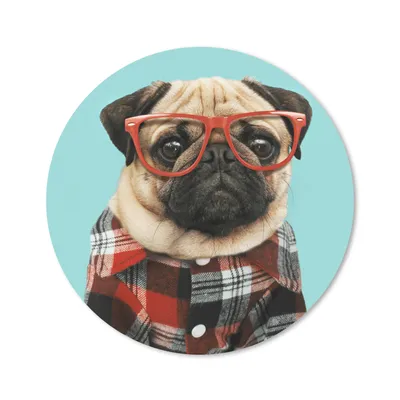Produktbild von MuchoWow® Mauspad Mousepad Hund - Hipster - Brille - Bluse 20x20 cm - Mousepads - Maus Mat - Pad - Mausunterlage - Schreibtischmatte