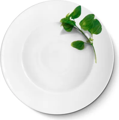 Produktbild von CreaTable - EUROPA KRÄUTER - Pastateller BASILIKUM 27 cm aus Porzellan