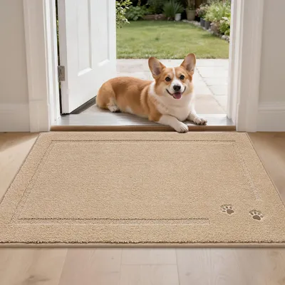 Produktbild von Schmutzmatten 60 x 90 cm, waschbare Fußmatte, beige, für Flur