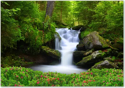 Produktbild von Tulup® Leinwandbild - 100x70 cm - Wandkunst - Drucke auf Leinwand - Leinwanddruck  - Landschaften - Grün - Wasserfall Wald