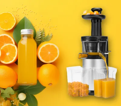 Image de Centrifugeuse Slowjuicer de Tristar