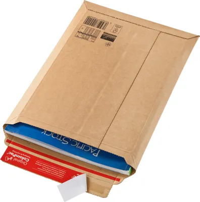 A brown cardboard envelope with documents inside, shown at an angle.