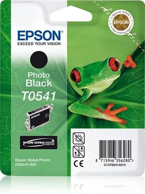 Image de Epson T0541 cartouche d'encre 1 pièce(s) Original Photo noire