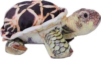 Produktbild von Plüschtier Schildkröte 33 cm, Schildkröten Stofftiere Kuscheltiere Landschildkröte