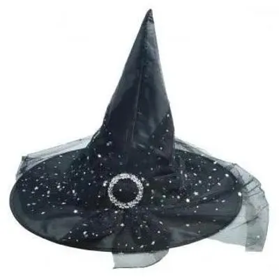 Image de Chapeau de sorcière toile d'araignée noire 32x32cm