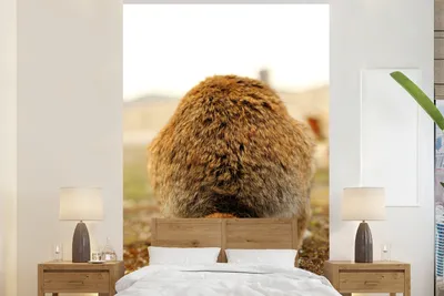 Produktbild von MuchoWow® Fototapete für Wohnzimmer oder Schlafzimmer Wandtapete Vinyl Motivtapete Kaninchen - Tier - Fell - 170x260 cm - Wohnzimmertapete