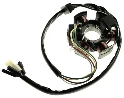 Obrázok produktu pre Alternátor 12V pre motor Minarelli AM3 AM4 AM5 AM6 Derbi Senda Aprilia RX Rieju Yamaha