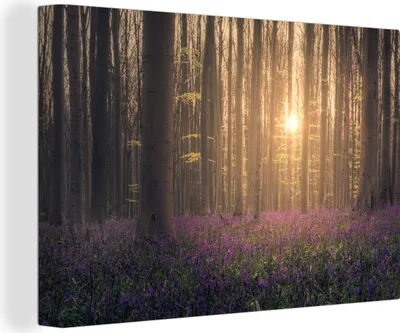 Produktbild von OneMillionCanvasses® - Leinwandbilder - 140x90 cm, Frühling - Blumen - Wald, Wandbilder Kunstdruck Wanddekoration