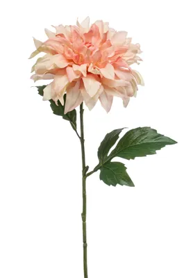 Produktbild von künstliche Dahlie mit XXL Blüte rosa H. 60cm Emerald Kunstblumen