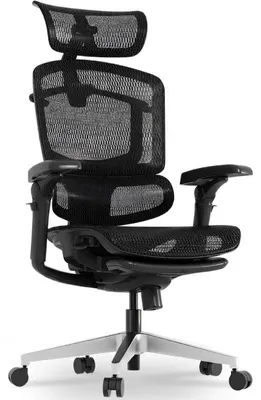 Obrázek produktu pro Ergonomická kancelářská židle s podnožkou OS250B-M2-ErgoX Pro, 7D područky, 5D bederní opěrka, 4D opěrka hlavy, černá