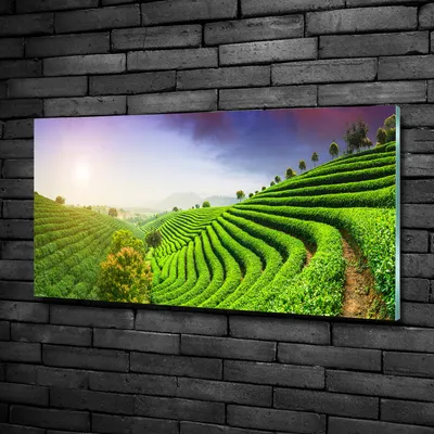 Produktbild von Tulup® Glas-Bild - 100x50 -Wandkunst - Wandbild hinter gehärtetem Sicherheitsglas  - Landschaften - Teeplantage - Grün