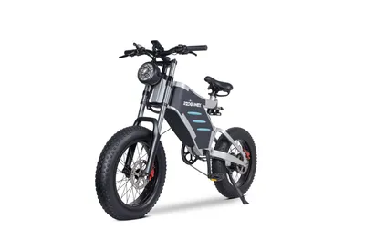 Productafbeelding van X5 Elektrische fatbike voor off-road gebruik, 48V / 25Ah, hydraulische schijfremmen voor en achter, maximale draagvermogen 200 kg, brede banden