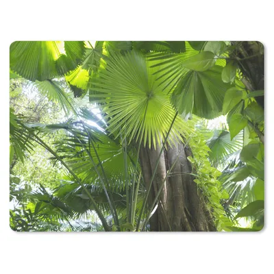 Produktbild von MuchoWow® Mauspad Mousepad Tropischer Regenwald 40x30 cm - Mousepads - Maus Mat - Pad - Mausunterlage - Anti Rutsch