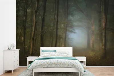 Produktbild von MuchoWow® Fototapete für Wohnzimmer oder Schlafzimmer Wandtapete Vinyl Motivtapete Wald - Winter - Nebel - Weg mit Bäumen - Waldwege - 600x400 cm - Vinyltapeten