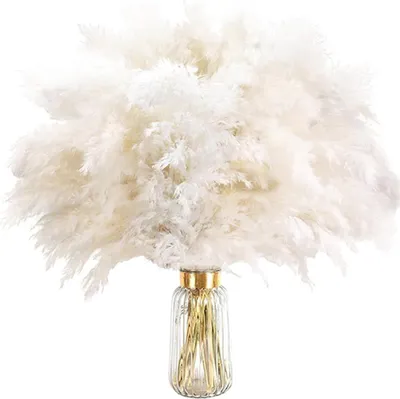 Image de INF Bouquet de Fleurs Séchées Blanches - 21 Tiges d'Herbe de Pampa Déco