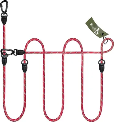 Produktbild von Einstellbare Nylon-Hundenleine für mittelgroße und große Hunde - Handsfree-Leine für 2 Hunde, verstellbar und reflektierend, Rot