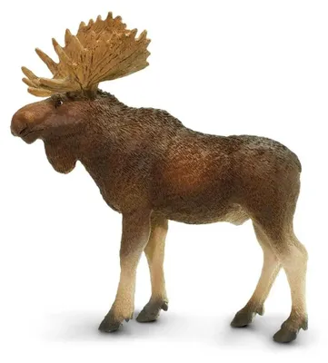 Immagine prodotto di Safari Ltd. NAW 181029 - Elchbulle