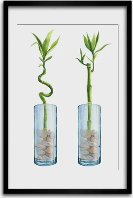 Produktbild von Bild - Bilderrahmen - 40 cm x 60 cm - MDF - Rahmen - Wandkunst - Bambus in einem Topf
