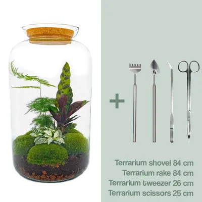 Immagine prodotto di Terrario fai da te - Sven Xl botanico - ↕ 43 cm