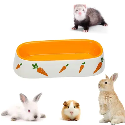 Zdjęcie produktu dla Miska dla zwierząt - Ceramiczna - Dla małych zwierząt - Chomik, szynszyla i jeż