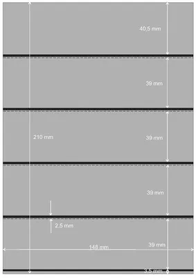 Produktbild von PRINZ Premium Steckkarten, 148 x 210 mm, 5-Streifen, 50 Stück
