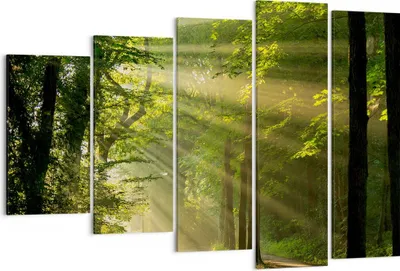Produktbild von Bild auf Leinwand - Leinwandbild - Wald Baum Natur - 150x100cm - Wand Bild - Wanddeko - Wandbilder - Leinwanddruck - Bilder - Kunstdruck - Wanddekoration - Leinwand bilder - Wandkunst - EG150x100-3661