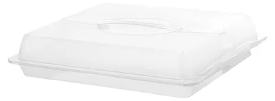 Produktbild von Rotho Kuchentransportbox mit Deckel und Griff John - Partybutler 47,5 x 39,0 x 9,8 cm - Tortenplatte mit Tragegriff - Kuchencontainer aus Kunststoff