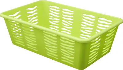 Image de Branq Basket Zebra Z2 - vert