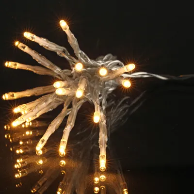 Image de Guirlande 1000Led Blanc chaud fil transparent
